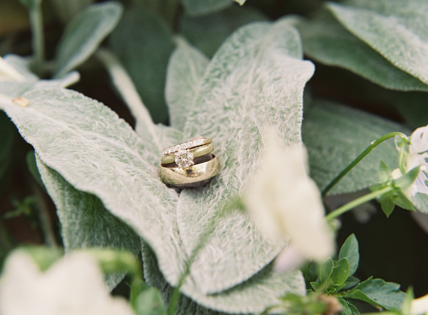 Courtney Leigh Photography Engagement Rings